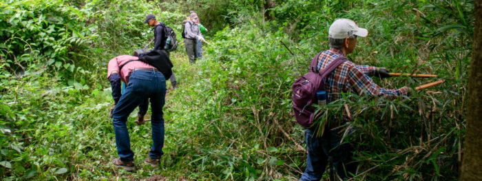 Trail Conservation and Maintenance