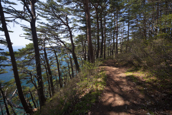 Area 2 – Central Fudai to Miyako City Center –