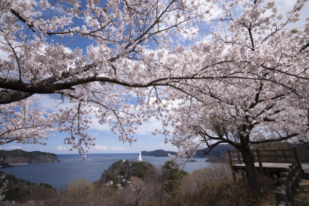 Area 4 – Kamaishi (Toni) to Rikuzentakata –