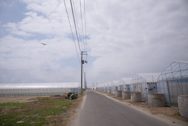 Area 7 – Higashi-Matsushima to Iwanuma