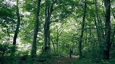 トレイル北部～春・夏・秋～