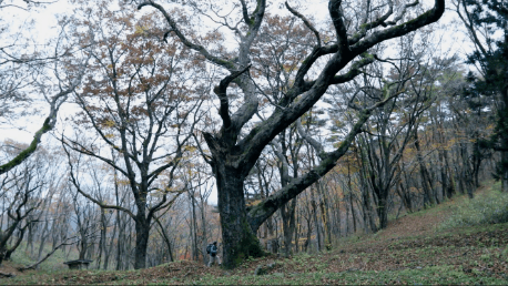 トレイル南部～秋・冬～
