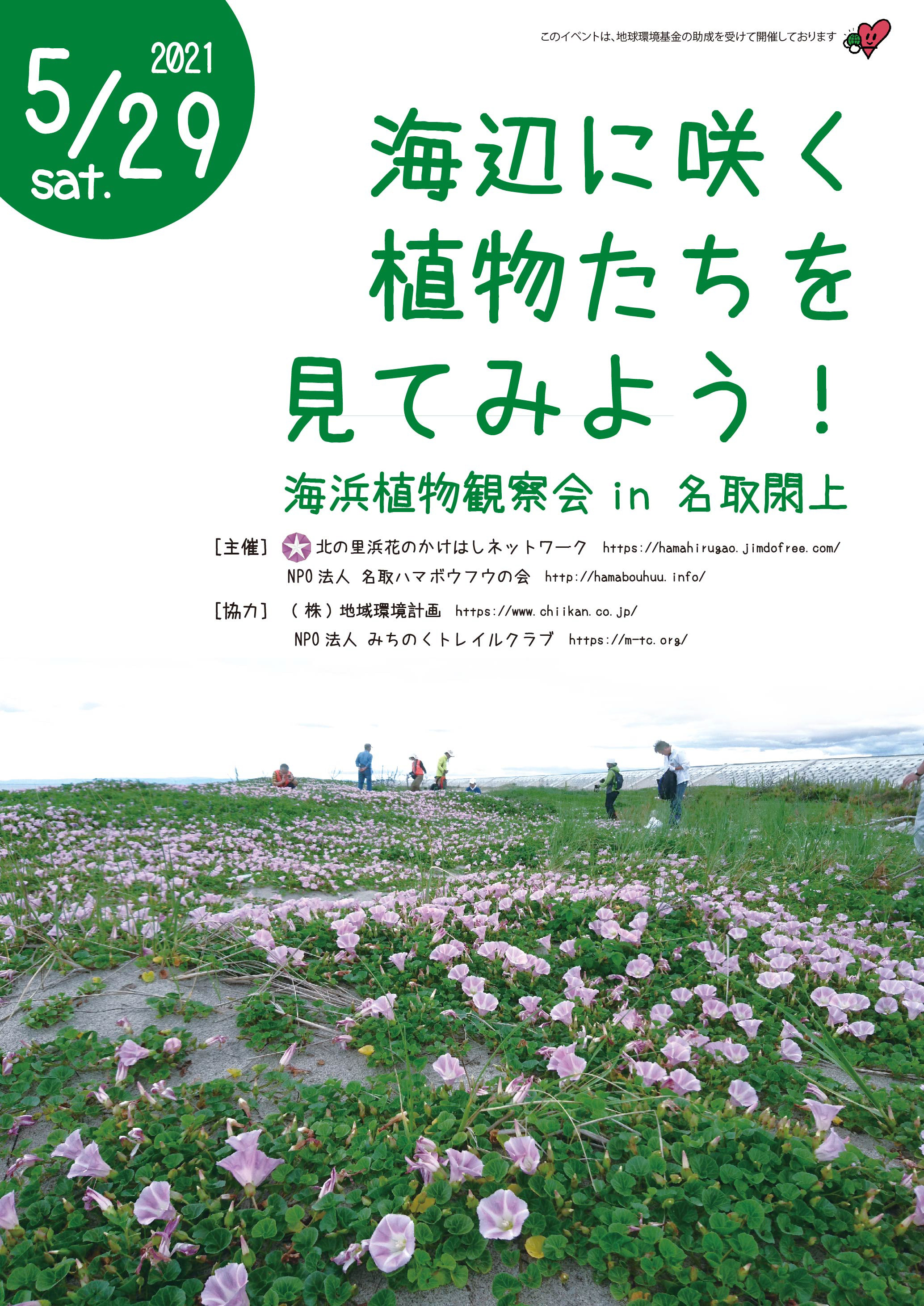 海辺に咲く植物たちを見てみよう 海浜植物観察会 In 名取閖上 See Flowering Plants At The Coast Coastal Plant Event In Yuriage Natori Npo法人みちのくトレイルクラブ