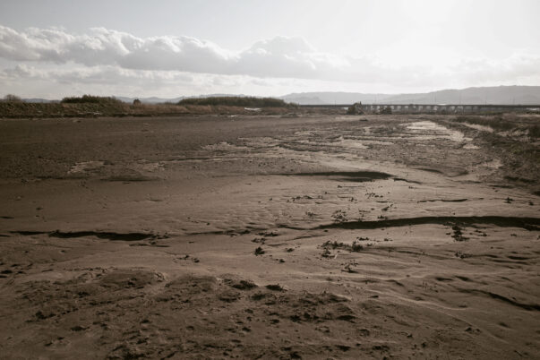 台風の傷跡を歩く