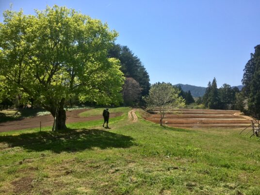 ～瞬間移動～海から里山へ