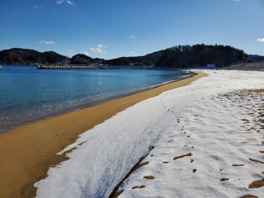 雪の大野海岸
