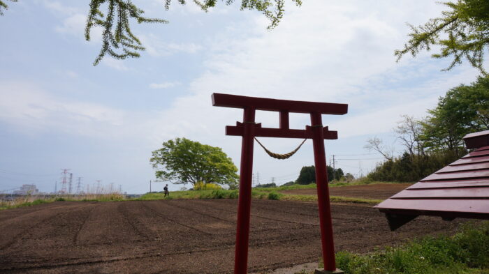 道行くハイカーを見守って