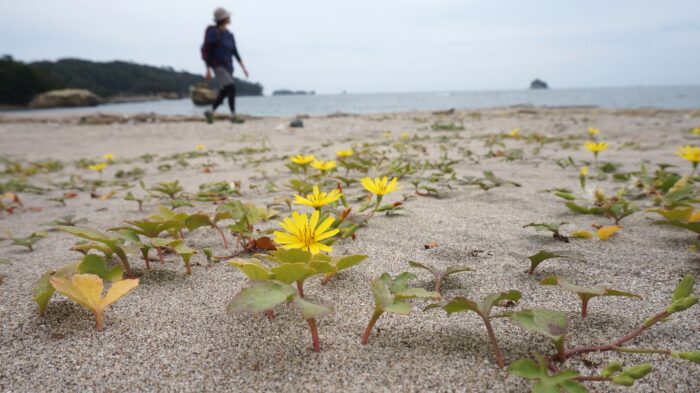 こっち、振り向いて