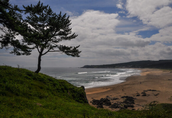 Tanesashi-kaigan Panorama