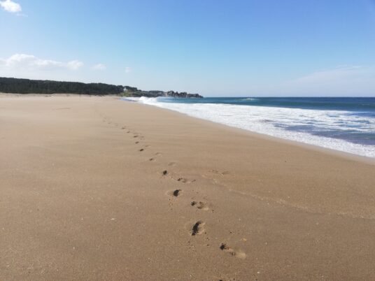 Footprints