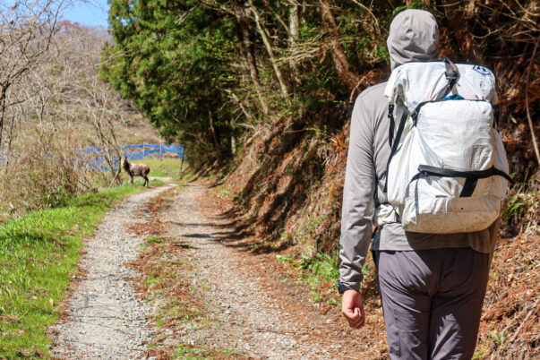 カーブの向こうに。