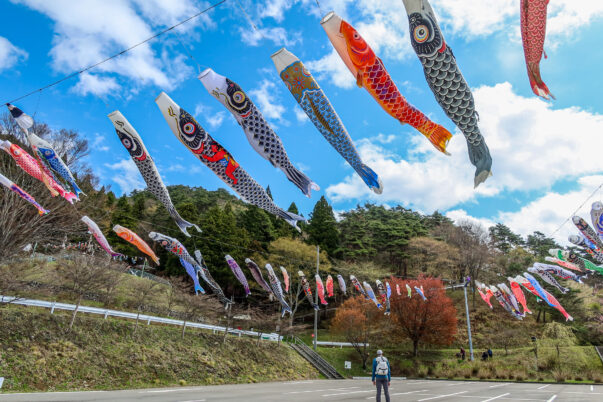 吊るしたてほやほや