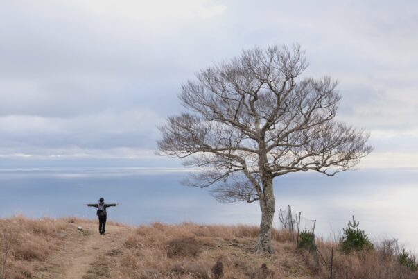 金華山から水平線を望む