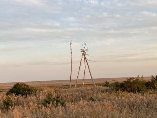 津波に耐えたのか