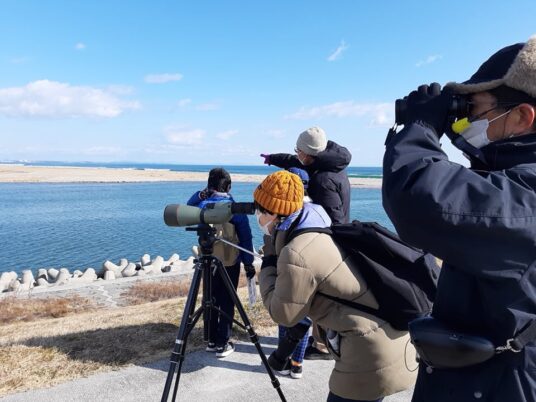 名取市冬の野鳥観察会　開催報告