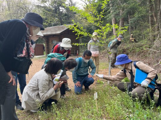 名取市春の自然観察会　開催報告