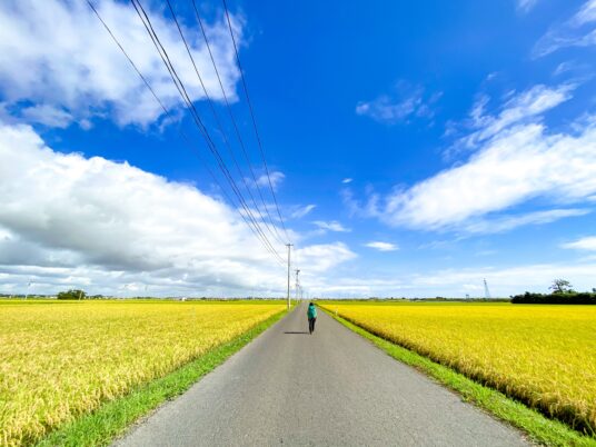 金色の野をゆく