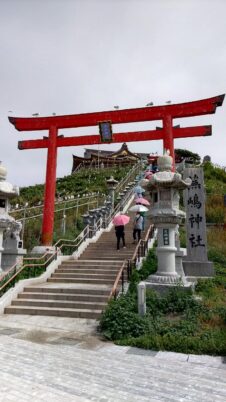 天気予報:晴れ、注意報:ウミネコ？