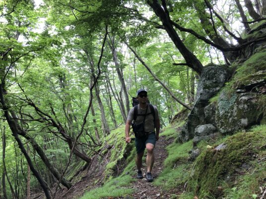 探訪！三陸浜街道と大地の営み三陸ジオパークを歩く旅【1泊2日】
