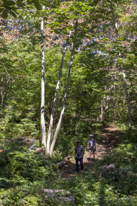 手つかずの自然とジオサイトを巡る旅【日帰り】
