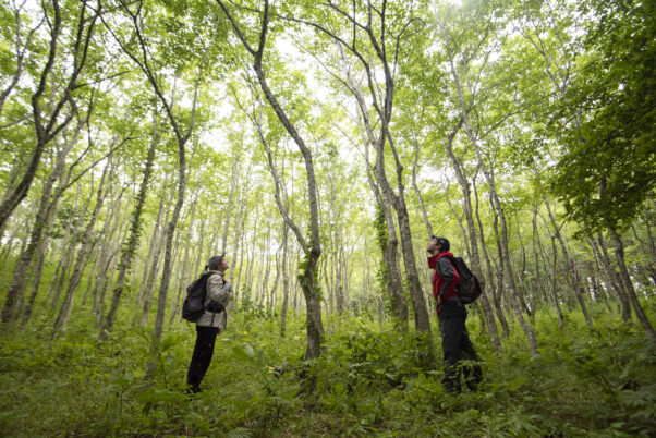 山あり谷あり手掘りトンネルあり！海のアルプス黒崎・北山崎の旅【1泊2日】