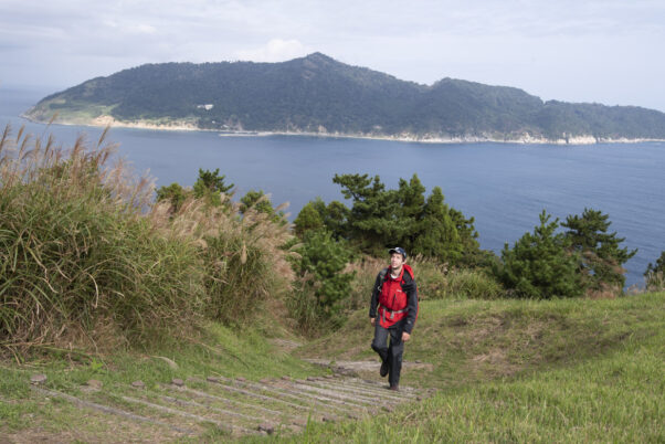 離島で猫や鹿に出会う旅【1泊2日】