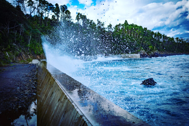波飛沫を浴びて