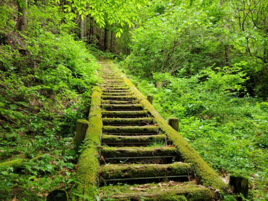 行者の道への入口