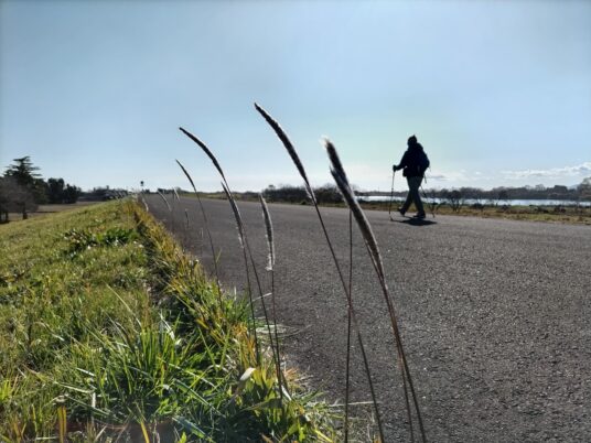 コロボックルロングトレイル