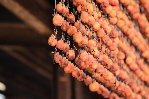 干し柿カーテン