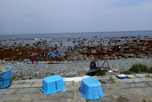 ウニを獲る人々