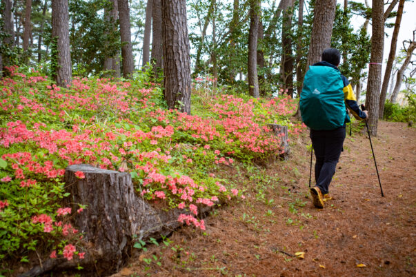 雨の日だからこそ