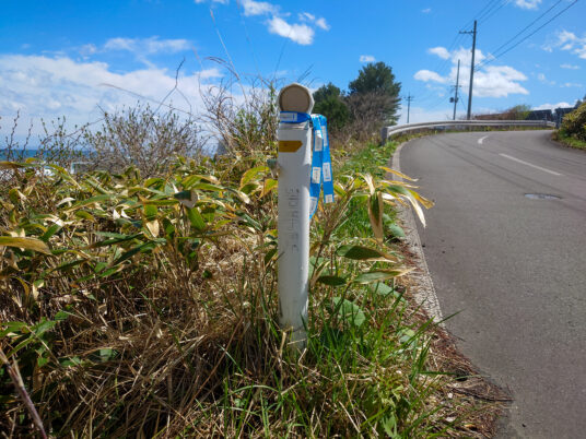 リボンが道しるべ