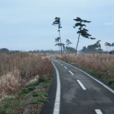 第四回「みちのく潮風トレイル 数珠つなぎハイキング」〜仙台市・名取市セクション〜