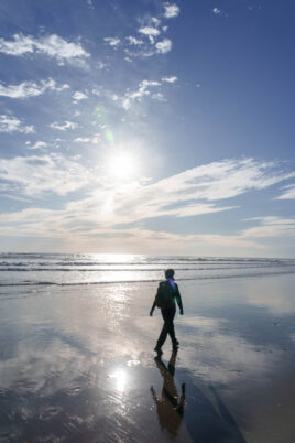 リフレクションの道