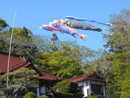 大船渡の鯉のぼり