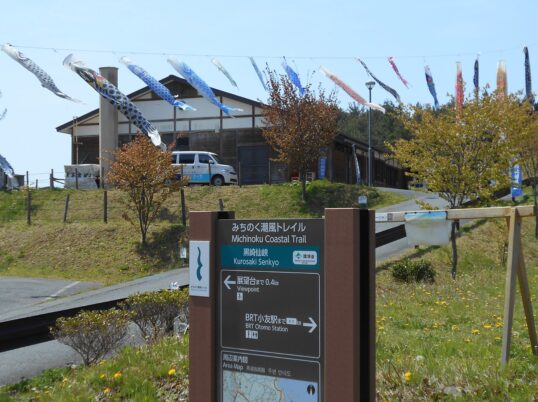 黒崎仙峡の鯉のぼり