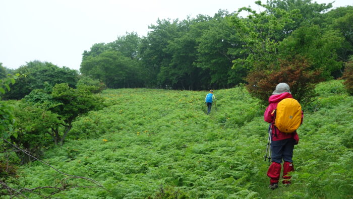 綾里崎立石山付近にて