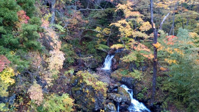 石浜の遅い紅葉