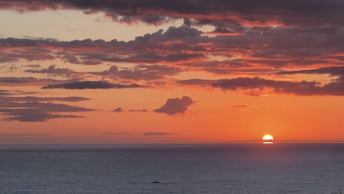 おはようございます