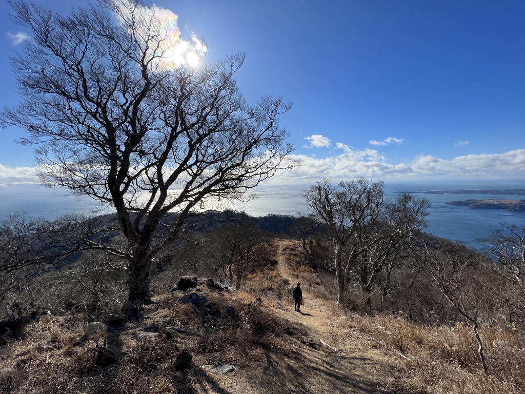 【中古】 みみらくの島/青簡舎/山下道代 359AA9E5-4823-4B9E-9BB6-