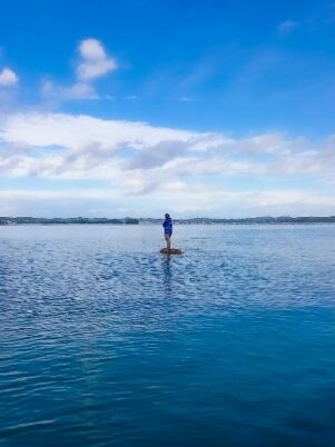 みちのく潮風トレイルハイカーズボイスNo.7