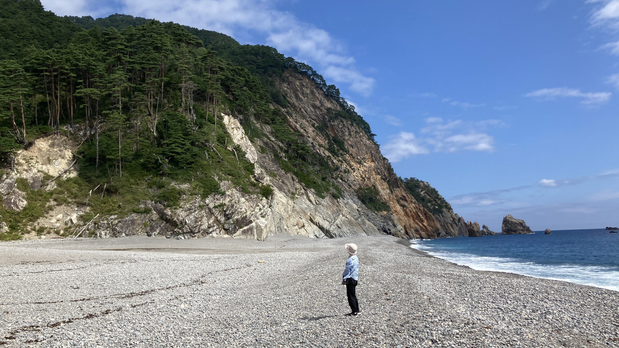 漉磯海岸の赤平金剛