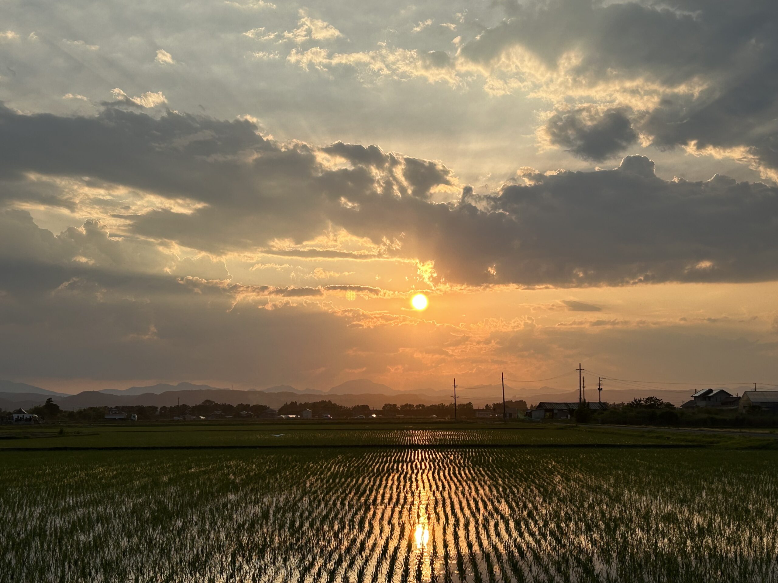 夕日が背中を押してくる