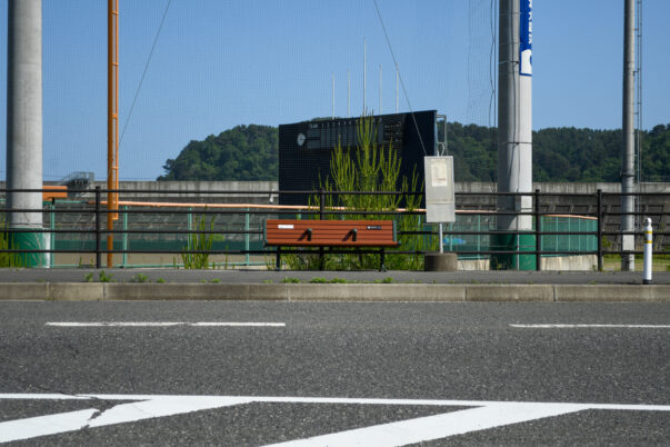 夏までもう少し