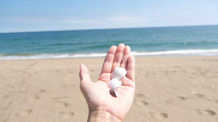 海からの贈り物