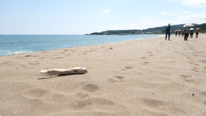 足跡を追いかけて