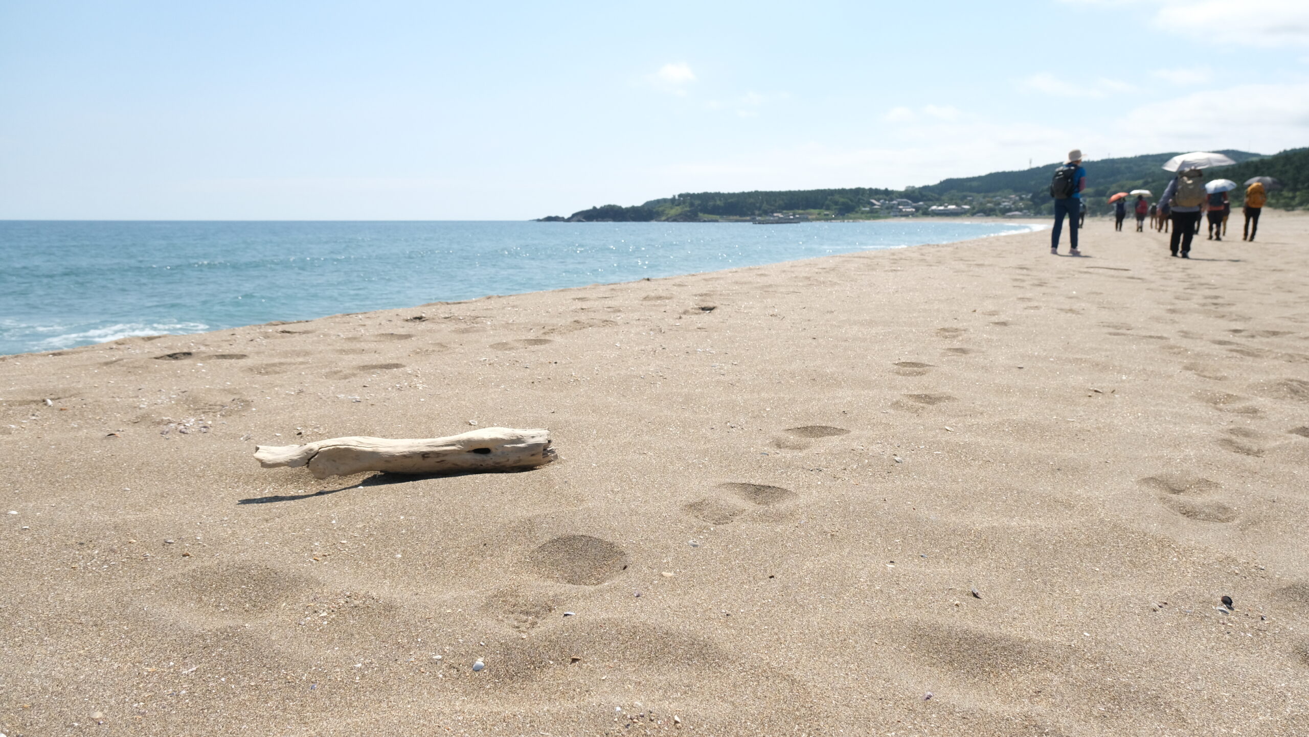 足跡を追いかけて