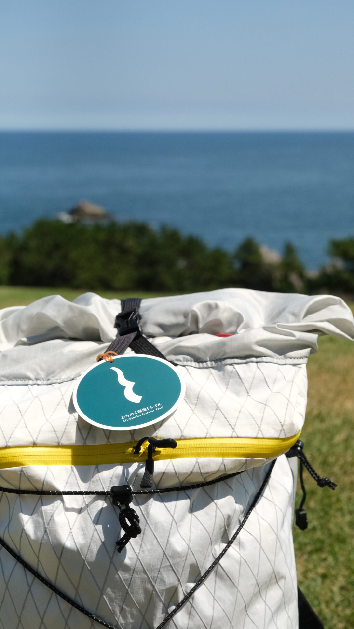 念願が叶った日