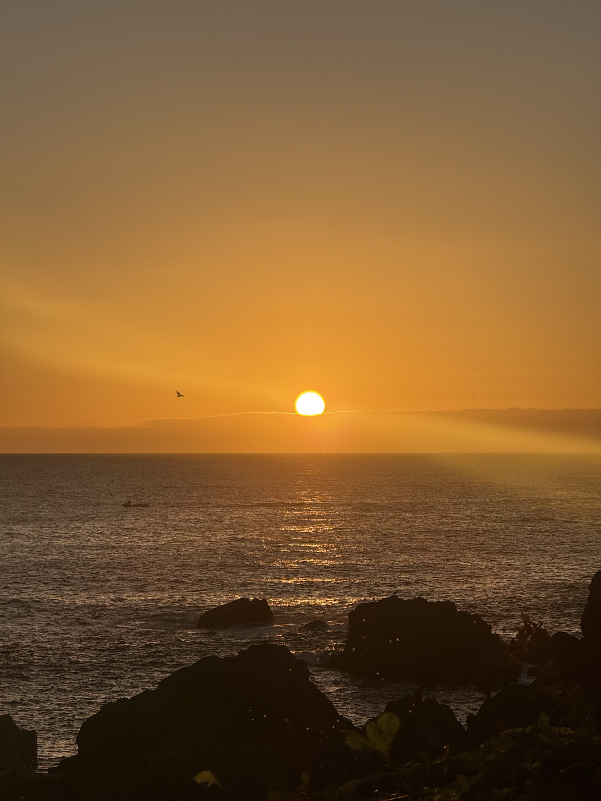 種差海岸で迎えた日出